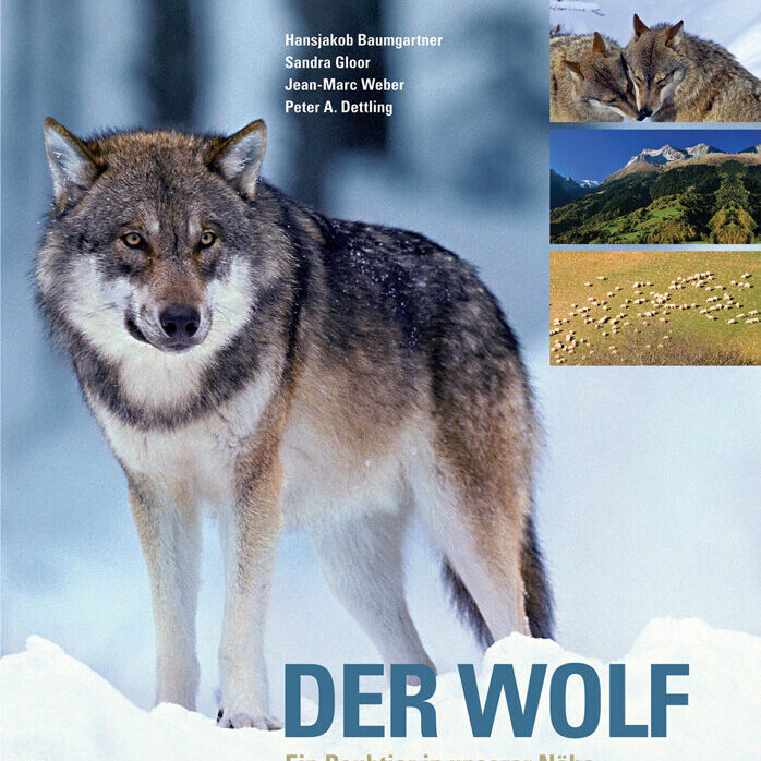 DER WOLF