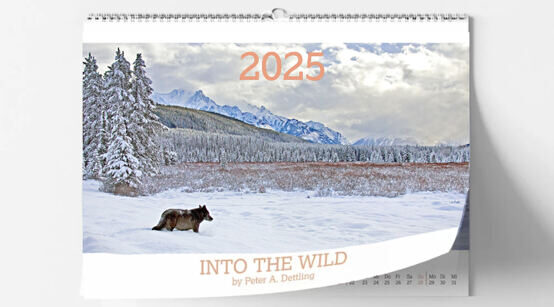 INTO THE WILD Wandkalender