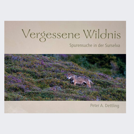 VERGESSENE WILDNIS. Spurensuche in der Surselva.