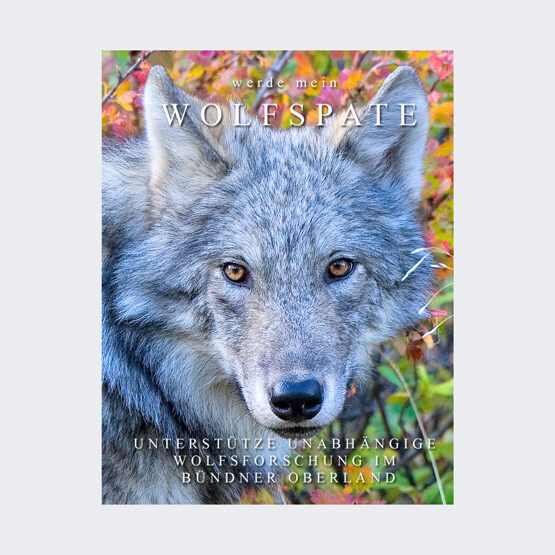 WOLFSPATENSCHAFT Deluxe