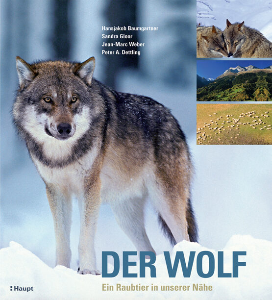 DER WOLF