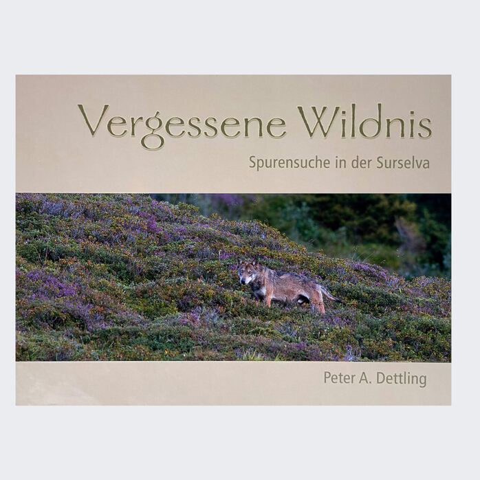 VERGESSENE WILDNIS. Spurensuche in der Surselva.