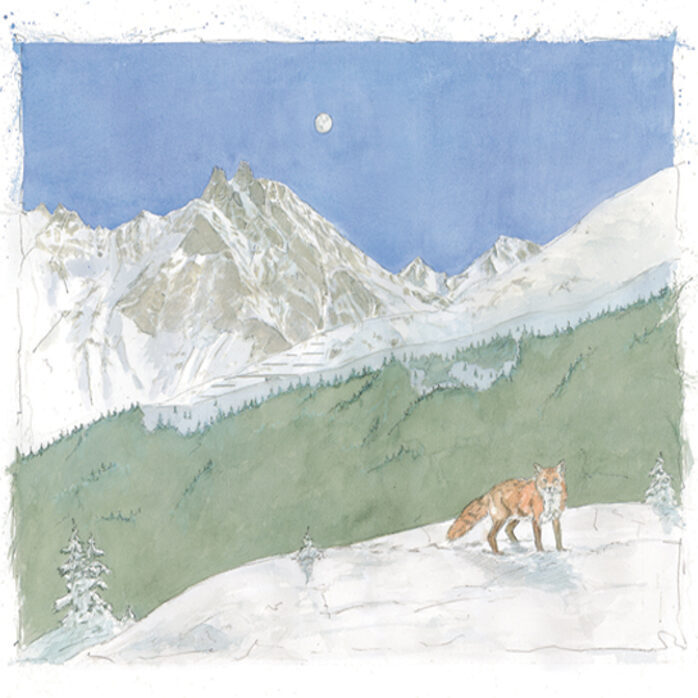 FUCHS BEI VOLLMOND